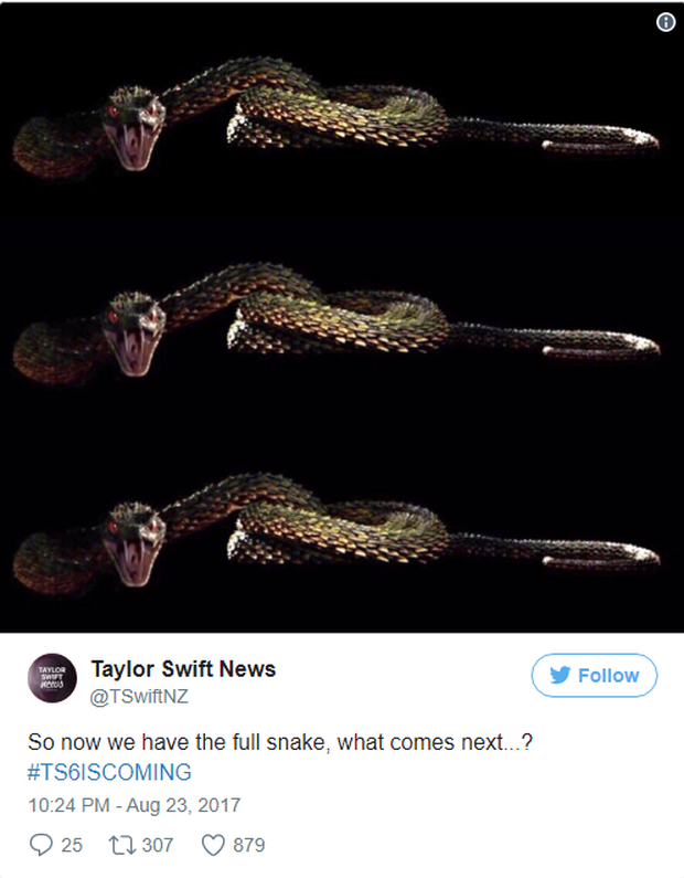 Hóa ra loài rắn trong bản hit mà Taylor Swift mới tung ra 