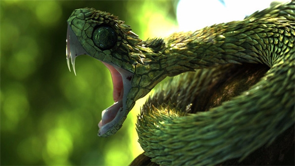 
Đôi mắt lớn cũng góp phần tạo nên vẻ hung dữ cho rắn vảy sừng.