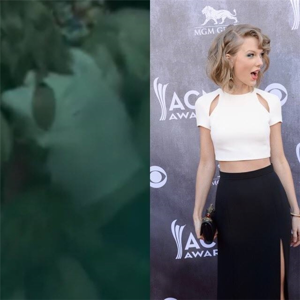 
Taylor Swift phiên bản lễ trao giải ACM năm 2014.