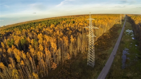 
Lưới điện chạy dọc rừng cây trên đảo Elk ở Moscow, Nga.