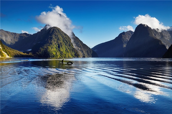 4
New Zealand được thiên nhiên ban tặng cho những khu đồi thoai thoải, núi non kỳ vĩ, các vịnh hẹp tuyệt đẹp và sự phong phú của cảnh quan trên mỗi hòn đảo. Ảnh: Lonely Planet.