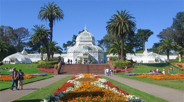 
Golden Gate Park - địa điểm chụp ảnh cưới đầu tiên của cặp đôi.