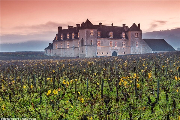 
Pháp: Mùa thu là mùa thu hoạch nho trên khắp đất nước Pháp. Du khách có thể đến thăm thành phố Bordeaux, ghé thăm các công trình kiến trúc cổ kính, thưởng thức rượu vang và tham quan vườn nho. Ảnh: Matteo Colombo/Getty Images.