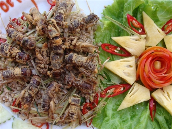 
Côn trùng: Ở Việt Nam có rất nhiều nhà hàng phục vụ các món ăn làm từ côn trùng như: dế mèn, ve sầu, ấu trùng ong, trứng kiến… Tuy có hình dạng khá đáng sợ nhưng sau khi qua tay các đầu bếp chế biến, chúng trở thành những món ăn tuyệt vời. 