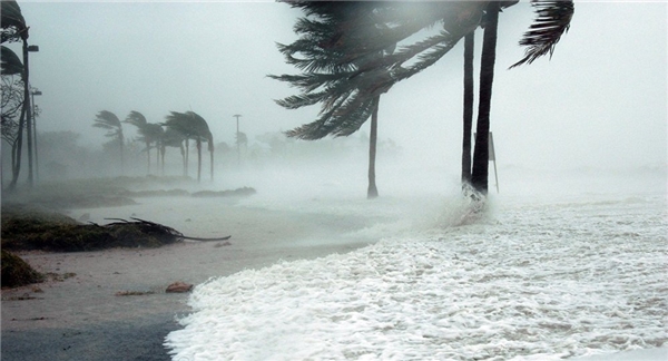 
Các cơn bão lũ thời gian qua cũng là dấu hiệu cho thấy sự sống loài người đang bị đe dọa