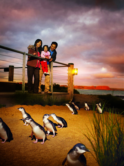 
Phillip Island là một địa điểm phù hợp để khách ngắm loài chim cánh cụt đặc trưng của xứ Nam bán cầu. Cách Melbourne 140 km (86 dặm) về phía Đông Nam, hòn đảo này còn là thiên đường của Kanguru, cá heo, hải cẩu, thú ăn kiến và gấu túi Koala.