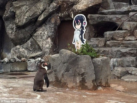 
Câu chuyện đáng yêu của Grape-kun trở thành điểm nổi bật của sở thú Tobu
