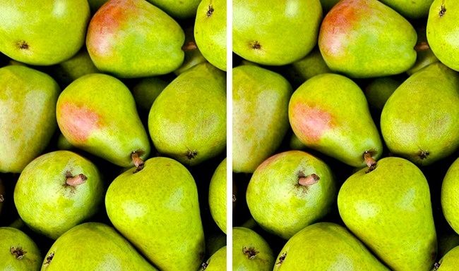 
Giữa những trái táo này có một quả táo rất khác thường đấy.