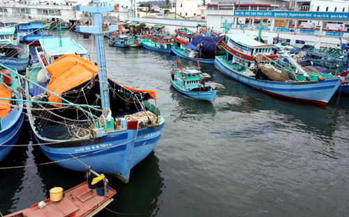 
Tàu cá cập bờ tránh áp thấp nhiệt đới ở sông Dương Đông, Phú Quốc. Ảnh: Cửu Long.