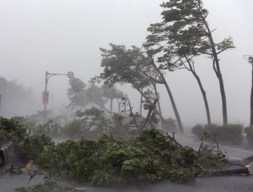 Lãnh đạo tỉnh Bình Thuận tổ chức họp trực tuyến với các địa phương để chỉ đạo việc đối phó bão số 12