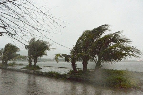 Lãnh đạo tỉnh Bình Thuận tổ chức họp trực tuyến với các địa phương để chỉ đạo việc đối phó bão số 12