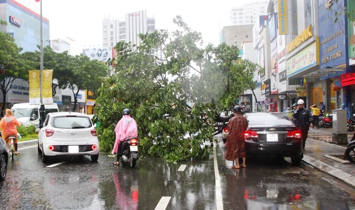 
Không chỉ cây xanh, mà nhiều công trình chào mừng APEC tại Đà Nẵng cũng hư hỏng sau trân mưa lớn. (Ảnh: Nguoiduatin.vn)