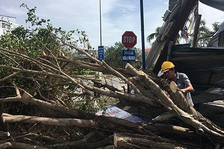 
Công tác khắc phục hậu quả sau bão số 12 tại Khánh Hòa (Ảnh: Báo Khánh Hòa)