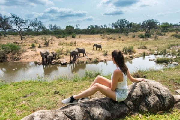
11. Vườn quốc gia Kruger: Vườn quốc gia Kruger là một trong những khu dự trữ lớn nhất của Châu Phi. Vườn quốc gia này trải dài hơn 7500 mét vuông và lớn hơn cả New Jersey. Khu bảo tồn thiên nhiên này có mật độ động vật hoang dã cao, bao gồm sư tử, báo, tê giác, voi và trâu rừng.