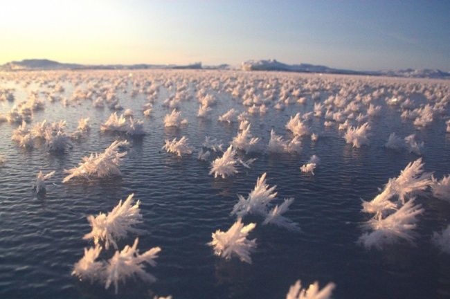 
Những tinh thể băng tuyệt vời được hình thành trên mặt nước.