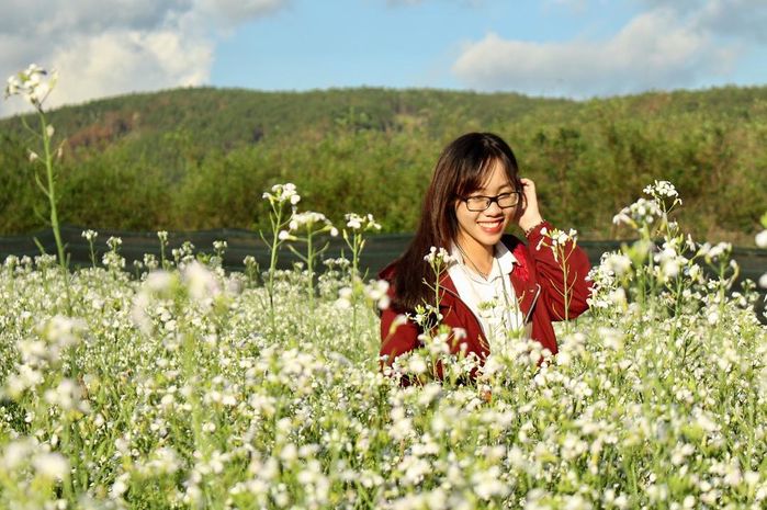Lạc trôi giữa cánh đồng hoa cải trắng ngút ngàn tại Đà Lạt