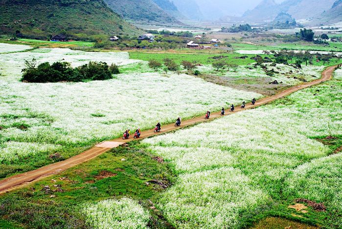 HÃ¬nh áº£nh cÃ³ liÃªn quan