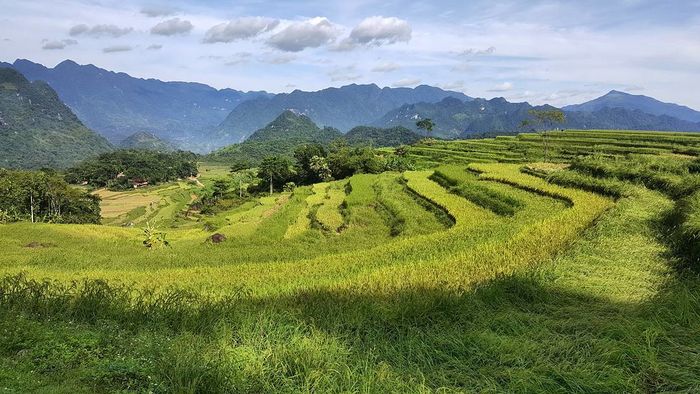 Không cần đi đâu xa, đây chính là những cung đường trekking đẹp nhất Việt Nam