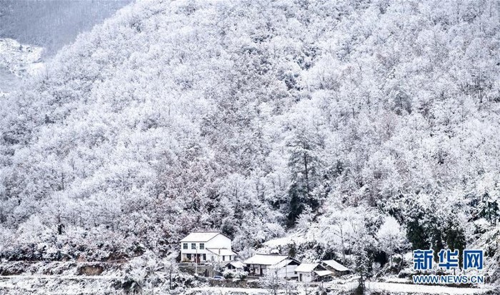 Trung Quốc: Mặc tuyết rơi trắng đầu, phủ đầy đồ ăn nhưng hàng trăm người vẫn quyết ngồi 