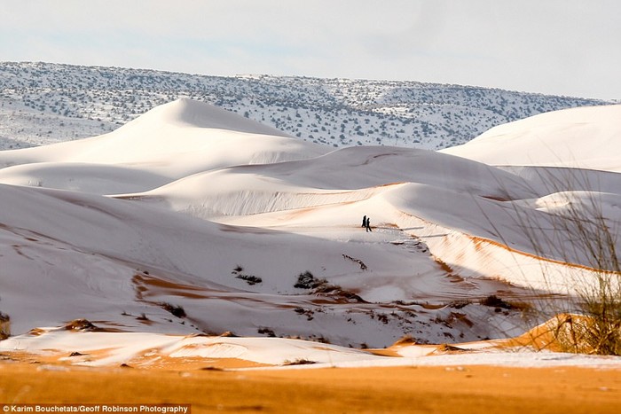 
Đây là lần thứ ba trong vòng 37 năm tuyết lại phủ kín sa mạc này