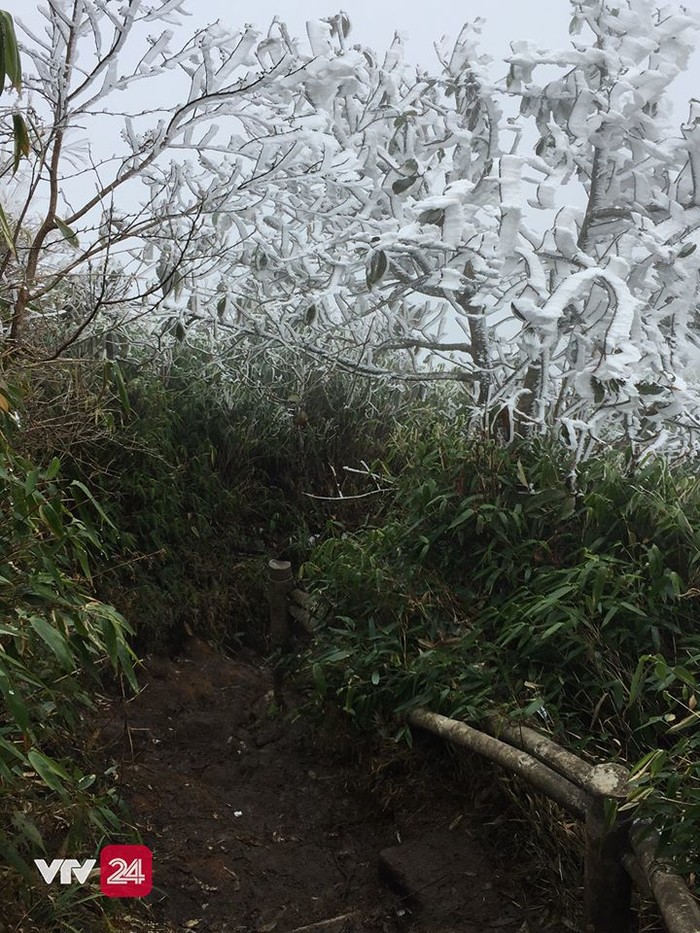 Sáng nay Fansipan bất ngờ xảy ra 2 trận mưa tuyết liên tiếp, đỉnh núi phủ một màu trắng huyền ảo