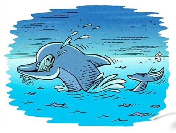 
3. Bức tranh vẽ hình ảnh chú cá heo đang ăn một con cá nhỏ, cùng chiếc thuyền ở đằng xa xa. Vậy bí mật thực sự phía sau bức tranh này là gì?