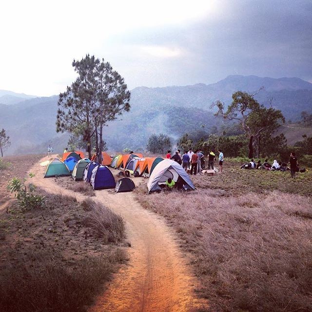 Mê mẩn với mùa cỏ cháy ở “cung đường trekking đẹp nhất Việt Nam”