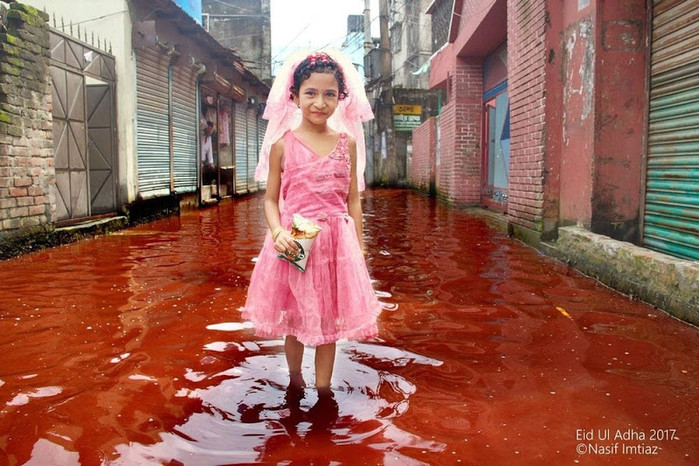 
Hình ảnh bé gái mặc một chiếc váy xinh xắn đứng giữa "dòng sông máu" khiến không ít người hoang mang