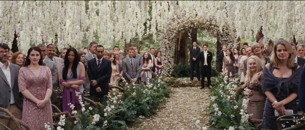 
Liệu tiệc cưới của cặp đôi sẽ đánh bại cảnh phim Twightlight về độ lãng mạn không?