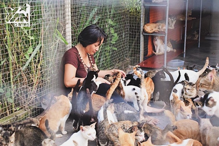 Lạc vào Vương quốc chó mèo của người phụ nữ nghèo hàng trăm lần cứu chúng khỏi lò sát sinh