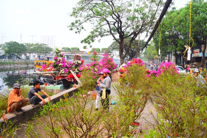Sài Gòn: Phố phường lung linh, mai đào nở rộ như “thay áo mới”, đúng là Tết đến thật rồi!