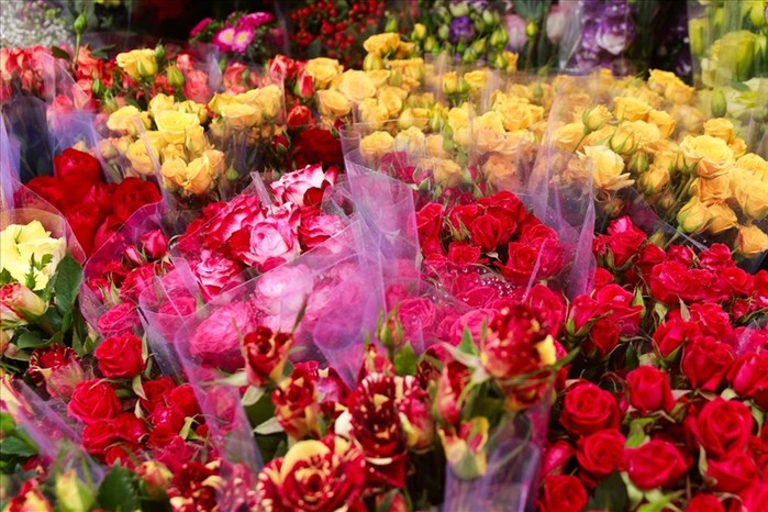 
Hoa hồng đột nhiên tăng giá lên gấp 3, 4 lần