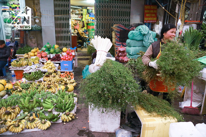 
Có thể bắt gặp rau mùi già được bán rất nhiều trên những con phố Hà Nội.