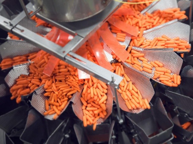 
Thiên nhiên không tạo ra các củ cà rốt bé tí như thế này mà là con người chúng ta tạo ra chúng đấy! Đây là phát minh của một nông dân đến từ California vào năm 1980, khi ông nhận thấy các cửa hàng không hài lòng với kích cỡ trái cà rốt của mình nên đã nghĩ ra một chiếc máy giúp định hình những trái cà rốt theo ý muốn.