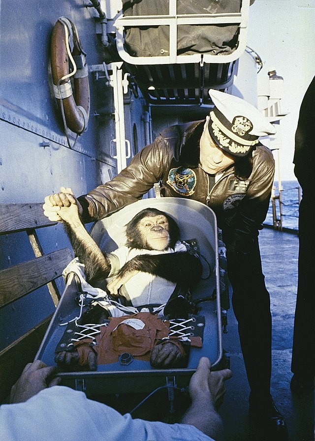 
Ngày 31/1/1961, Ham trở thành chú tinh tinh đầu tiên được đưa lên vũ trụ trong chương trình nghiên cứu không gian của Mỹ. Chuyến du hành dài 17 phút và kết thúc khá thành công. Ham được trở lại mặt đất một cách an toàn và chỉ bị một vết bầm nhỏ ở mũi.