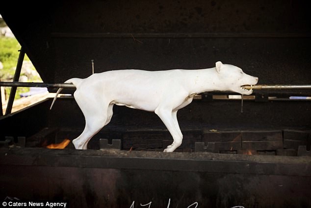 Hình ảnh lồng chó bị mang đến lò mổ xuất hiện trên báo nước ngoài