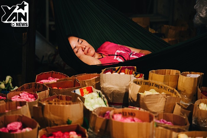 
Giấc ngủ vội giữa chợ hoa đêm
