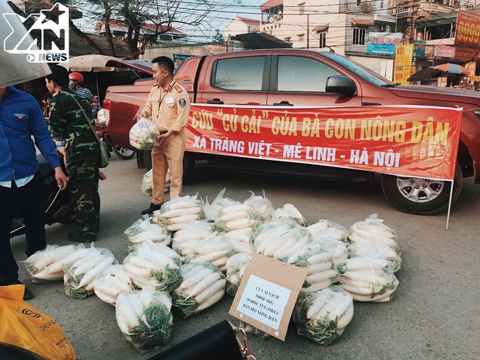 Chi đoàn CSGT số 11 cắt cử đoàn viên thay nhau kết hợp với đoàn viên 2 xã Tiến Xuân và Thạch Hoà để bán giúp củ cải cho bà con nông dân.