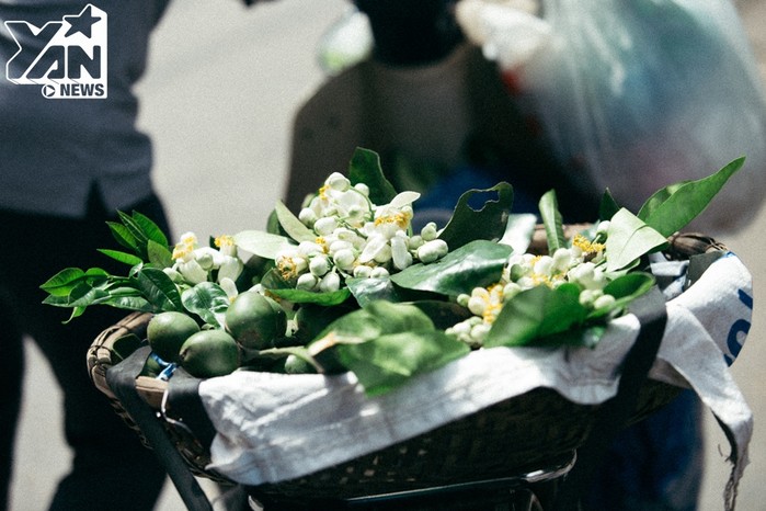 Chùm ảnh: Từng gánh hoa bưởi dập dìu trên đường phố Thủ đô, hương thơm quấn quýt mãi chẳng rời