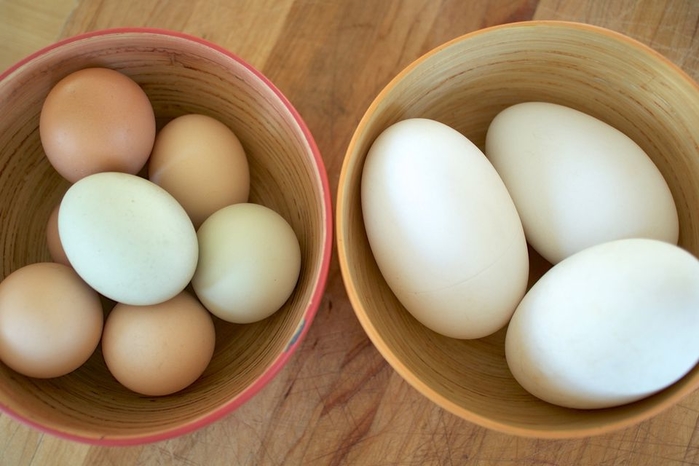 
Các mẹ lưu ý, mỗi loại trứng đều có hàm lượng dinh dưỡng khác nhau.
