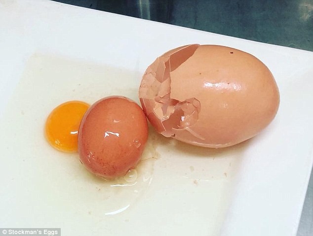 
Một người mua được quả trứng to gấp đôi những quả trứng bình thường, hóa ra là do bên trong nó đang... "ấp trứng".