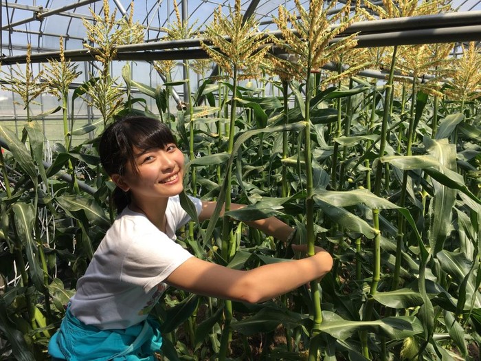 Nữ thần tượng nông nghiệp Nhật Bản bất ngờ tự kết liễu cuộc đời ở tuổi 17