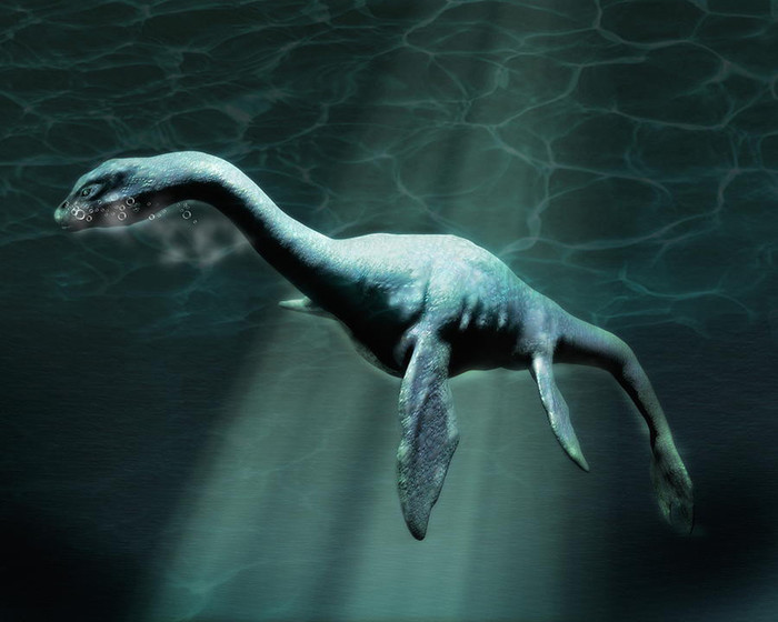 
Nó có hình dáng y hệt Quái vật hồ Loch Ness trong truyền thuyết.