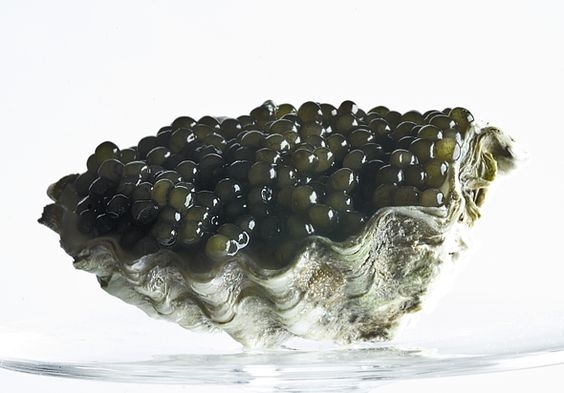 Trứng cá muối Caviar: Món quà quý hiếm từ biển cả được giới thượng lưu ''săn lùng ráo riết''