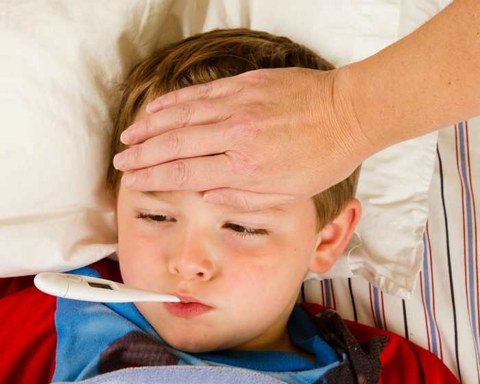 
Hàng loạt những triệu chứng sẽ xuất hiện như sốt nhẹ, biếng ăn, ngủ gà ngủ gật trong thời kì khởi phát bệnh.