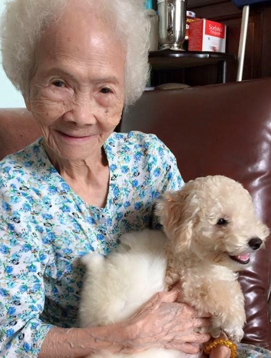 
Bà ngoại vô cùng yêu thương ba chú chó - Ảnh: Trần Cao Ngọc Thảo