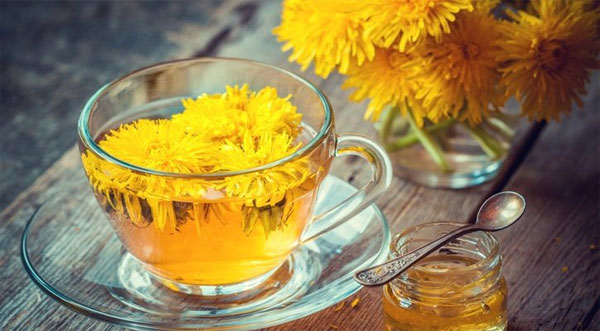 
Một cốc trà bồ công anh được sử dụng sau mỗi bữa ăn là cách bảo vệ sức khỏe.