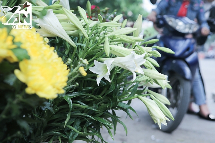 Chùm ảnh: Tháng tư về, đường phố Thủ đô ngập tràn sắc hương hoa loa kèn, báo hiệu mùa hạ đã sang