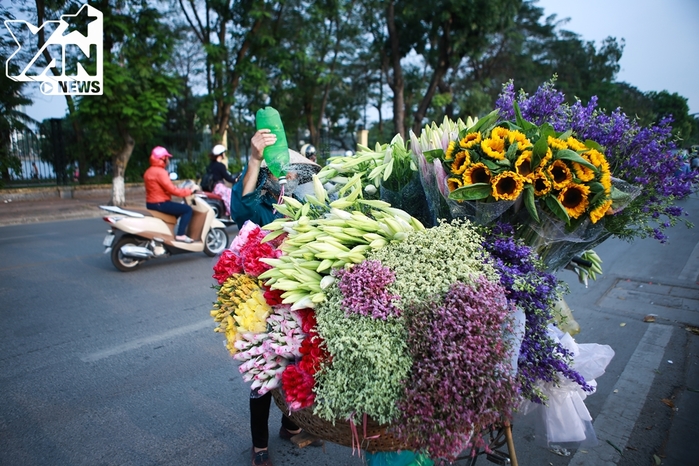 
Trên dọc đường Nguyễn Chí Thanh, Hoàng Hoa Thám hay ven hồ Tây, những gánh hoa với đủ loại màu sắc lại khiến cả một góc phố như bừng lên sức sống