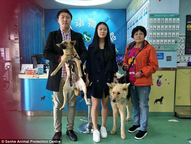 
Hai trong số những chú chó ngày hôm đó đã được một cặp vợ chồng nhận nuôi tại bệnh viện